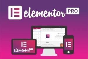 Elementor Pro Latest Version Plugin Page Builder